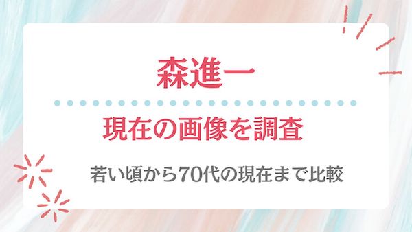 森進一,現在,画像